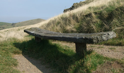 bench
