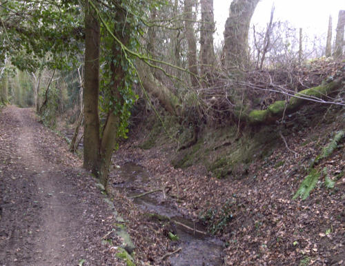 Bridleway west of the Malvern Hills Bridleway west of the Malvern Hills